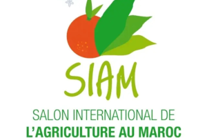 SIAM 2025 